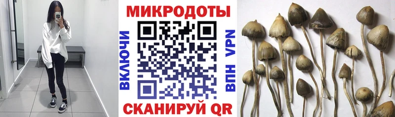 Галлюциногенные грибы мухоморы  наркотики  Пыталово 